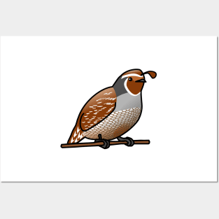 California Quail Posters and Art